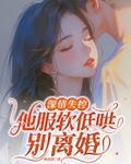深情失控，他服軟低哄彆離婚