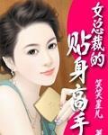 女總裁的貼身高手
