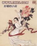 天才高手